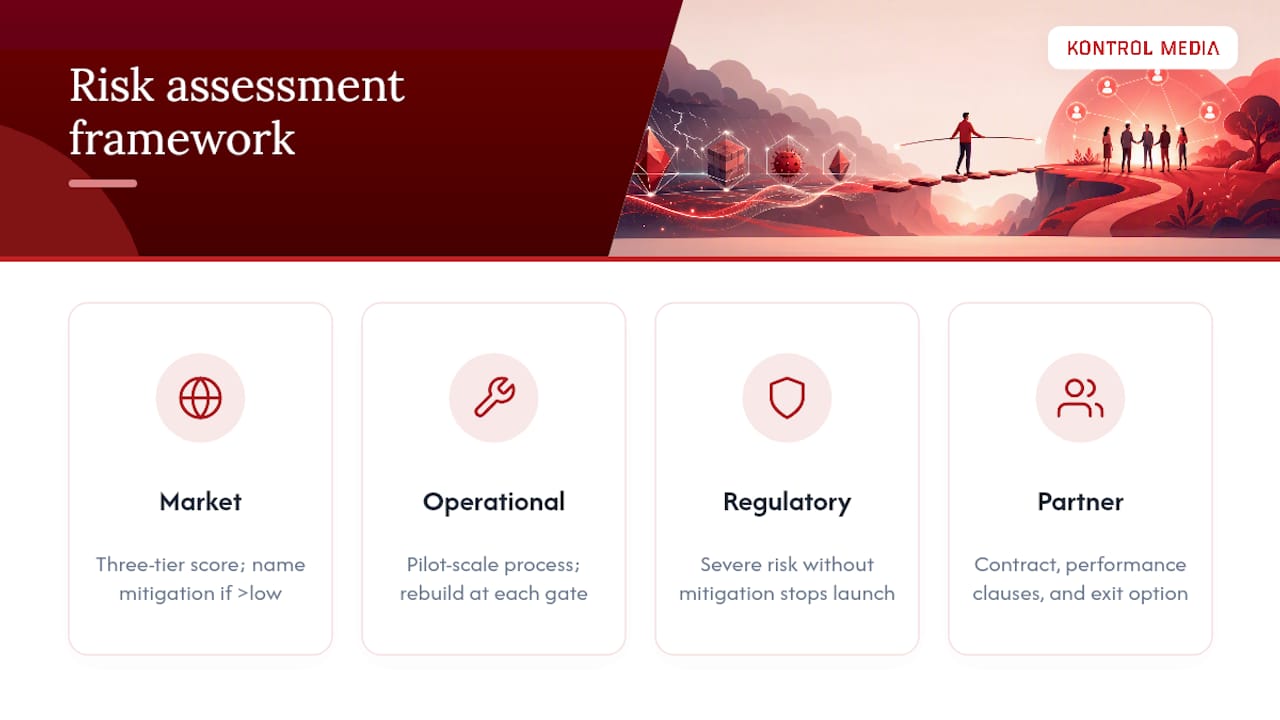 Four-category market entry risk framework